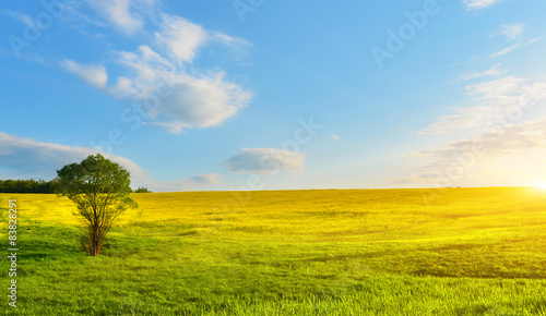 Obraz na płótnie pejzaż natura kwiat niebo