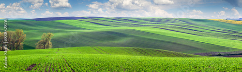 Naklejka pastwisko natura czeski wiejski