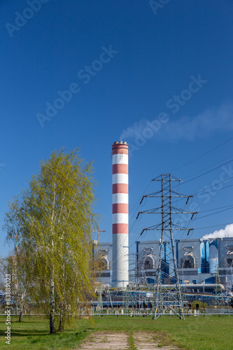 Naklejka niebo natura architektura roślina