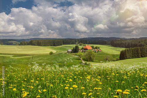Obraz na płótnie rolnictwo wierzba ogród panorama