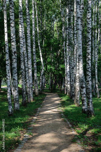 Naklejka spokojny lato park pejzaż