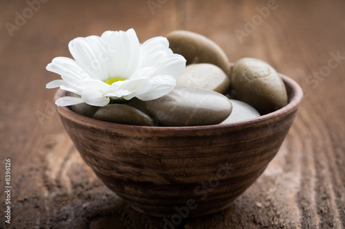 Plakat wellnes masaż aromaterapia
