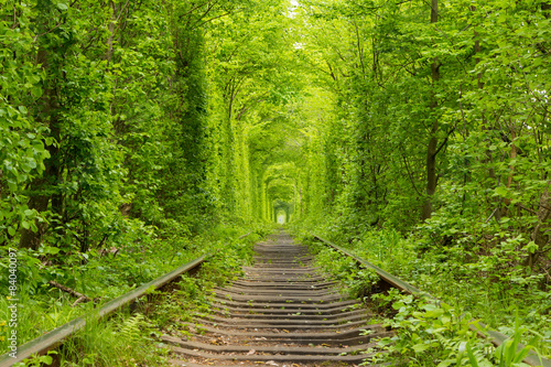 Naklejka łuk pejzaż las natura krzew