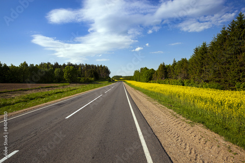 Naklejka trawa natura wzgórze lato