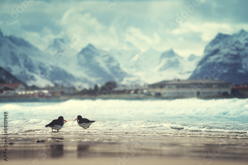 Fototapeta natura norwegia europa