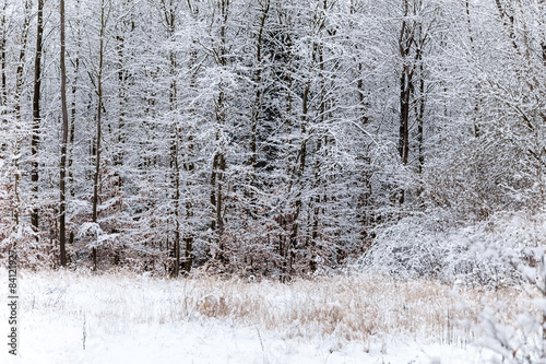 Fotoroleta lód wioska krajobraz śnieg pole