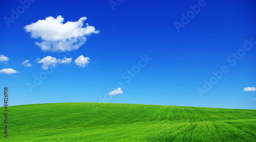 Naklejka widok panoramiczny roślina natura