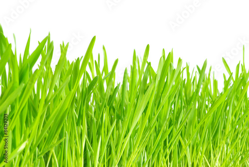 Obraz na płótnie wzór trawa park pejzaż
