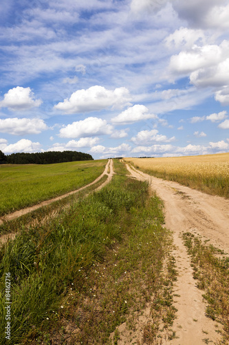 Fotoroleta słońce natura pszenica ruch