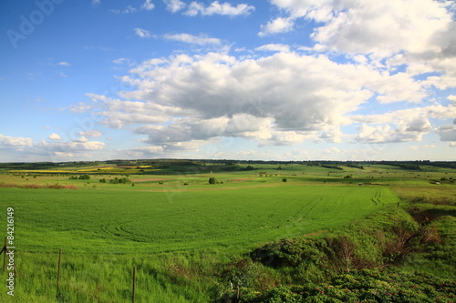 Fotoroleta litwa pejzaż łąka pole las