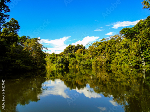 Naklejka las dziki natura