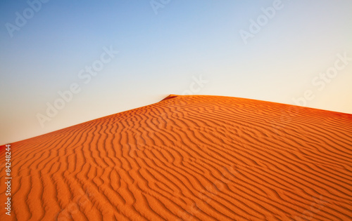 Obraz na płótnie safari arabski zatoka wydma