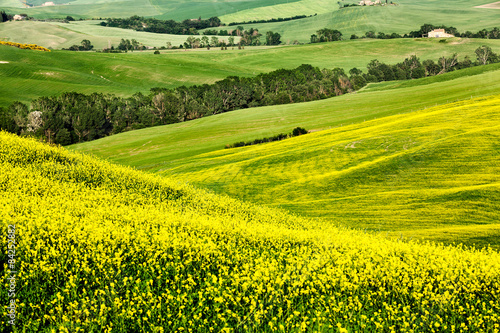 Obraz na płótnie wieś rolnictwo łąka trawa widok