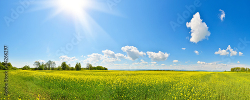 Naklejka panorama pejzaż natura panoramiczny