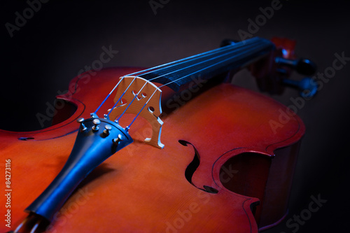 Fototapeta Close view of violoncello in vertical position