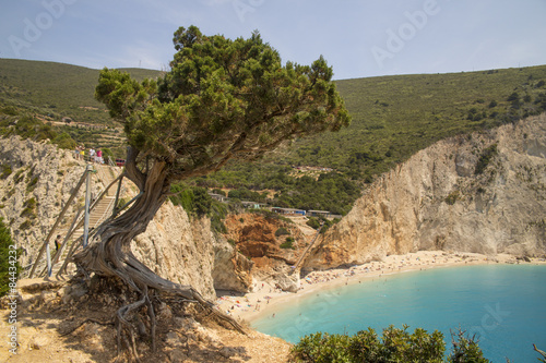 Fotoroleta drzewa wybrzeże europa