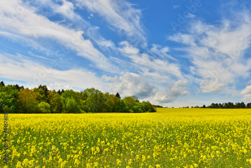 Naklejka natura wieś kwiat las pejzaż