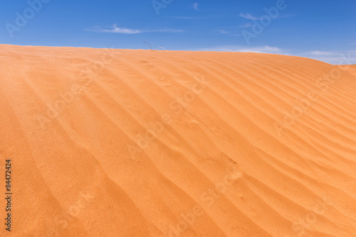 Obraz na płótnie egipt słońce pustynia