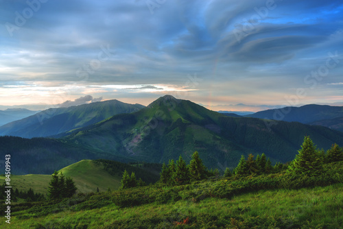 Plakat wzgórze natura trawa lato