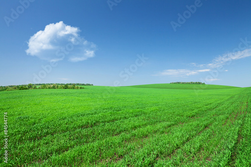 Fotoroleta natura piękny pejzaż łąka wieś