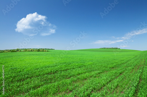 Obraz na płótnie natura piękny pejzaż łąka wieś