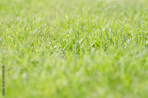 Plakat Grass, Lawn, Green.