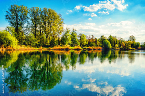 Fotoroleta słońce park ładny niebo