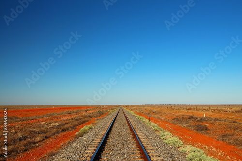 Naklejka trawa lato dziki krzew australia