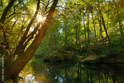 Naklejka natura woda las pejzaż