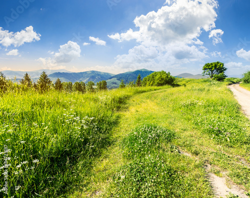 Naklejka góra widok natura wiejski łąka