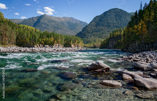 Obraz na płótnie drzewa góra pejzaż natura jodła