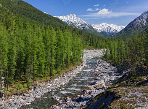 Fotoroleta las natura śnieg