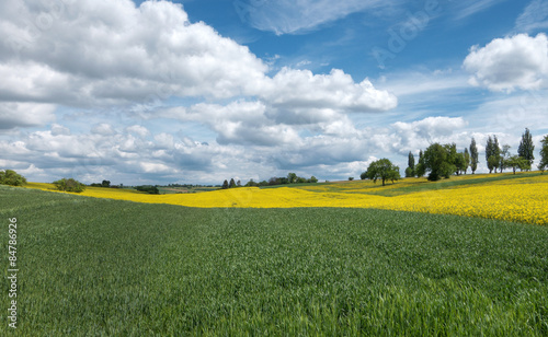 Naklejka kwitnący niebo wieś pole krajobraz