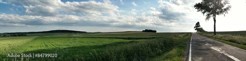 Obraz na płótnie panorama drzewa widok