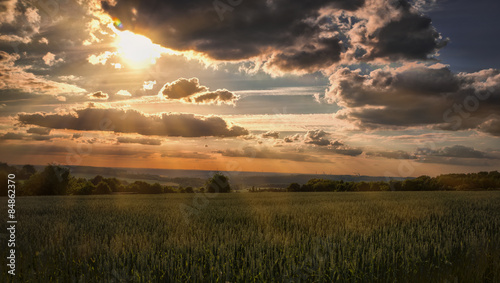 Fotoroleta kwiat trawa krajobraz sztuka natura