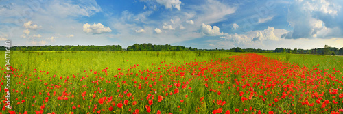 Naklejka widok kwiat wiejski panorama wieś