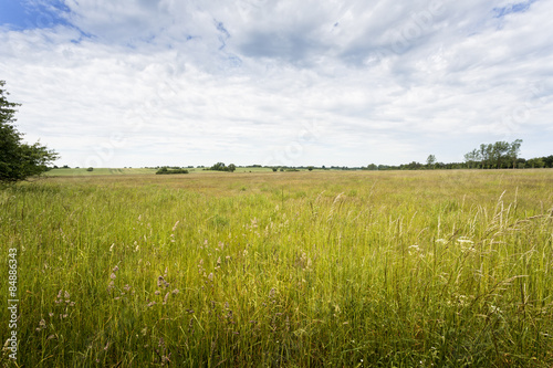 Fotoroleta lato natura rolnictwo krajobraz