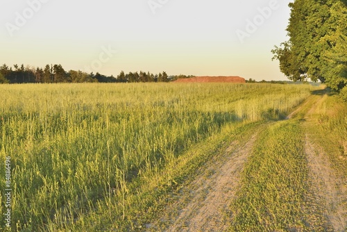 Obraz na płótnie niebo lato siano