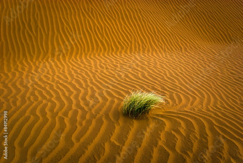 Obraz na płótnie Sand desert with grass