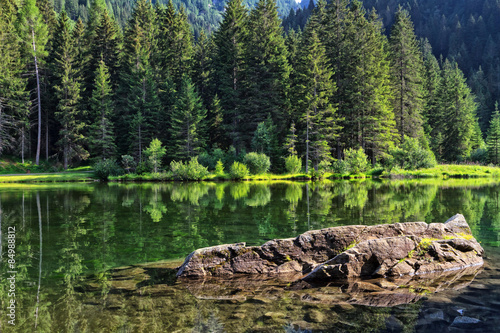 Fotoroleta natura drzewa góra