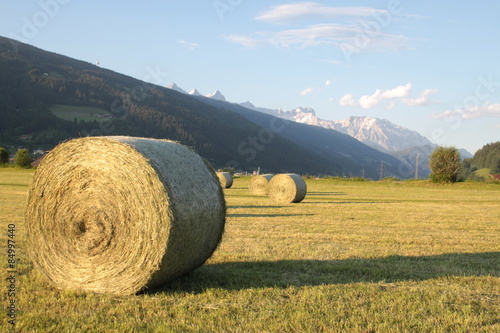 Fotoroleta natura góra niebo krowa