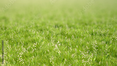 Plakat natura świeży zdrowy