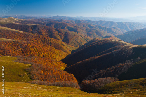 Obraz na płótnie pastwisko niebo panorama drzewa