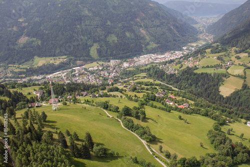 Naklejka widok lato las