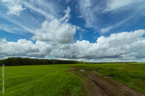 Obraz na płótnie polana droga rolnictwo niebo natura