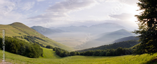 Plakat kwiat panoramiczny góra natura