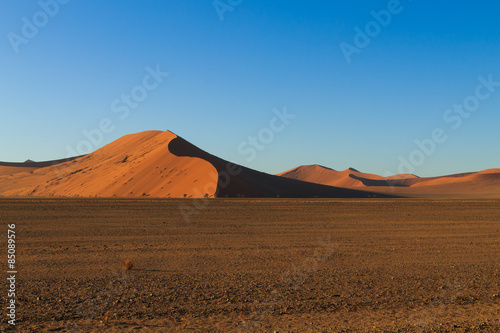 Plakat afryka krzew perspektywa panorama niebo