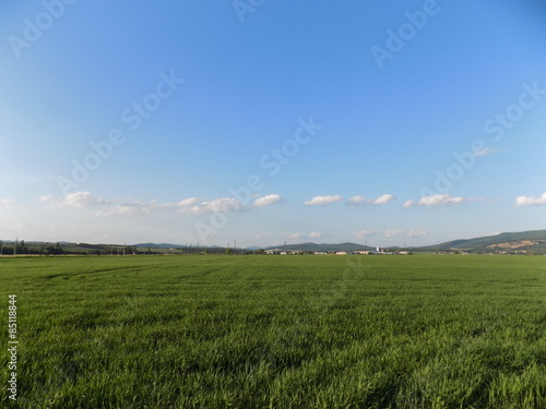 Naklejka natura łąka pastwisko