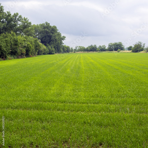 Plakat włochy ścieżka natura obraz