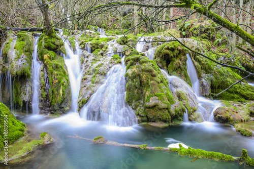 Obraz na płótnie las mech góra natura krajobraz